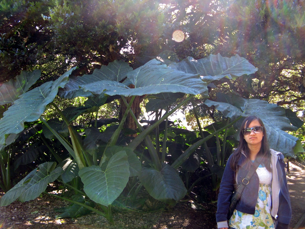 Connie and Plant with Giant Leaves